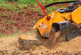 Lawn Irrigation Installation and Maintenance in Alpine, TX