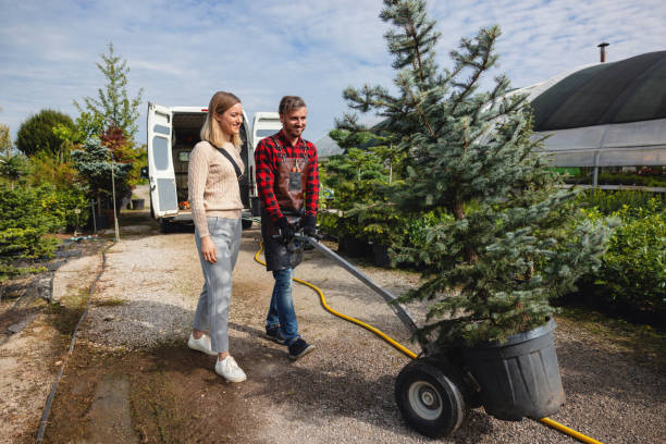 Best Arborist Consultation Services  in Alpine, TX
